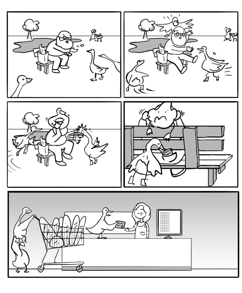 The Old Man and the Ducks